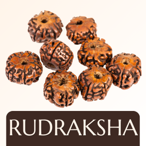 1 to 14 Mukhi combination (Indonesian beads)