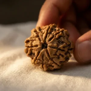buy 8 mukhi rudraksha