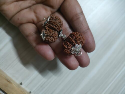 Gauri Shankar Rudraksha(Nepali) - Medium Size photo review