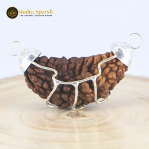 small size 1 mukhi indian rudraksha