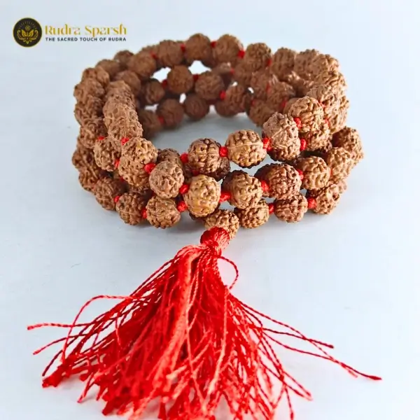 5 mukhi rudraksha mala with 108+1 beads - Image 5
