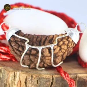 1- Mukhi Rudraksha (Indian)- Small Size