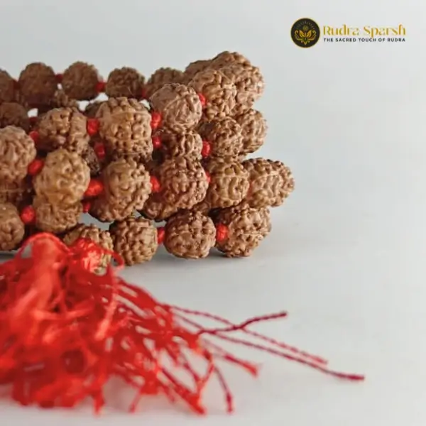 5 mukhi rudraksha mala with 108+1 beads - Image 4