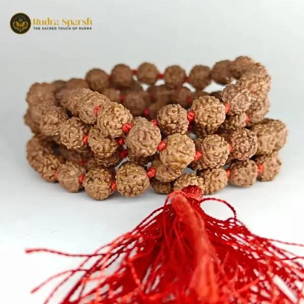 5 mukhi rudraksha mala with 108+1 beads - Image 3