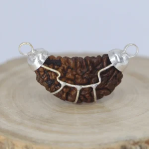 1- Mukhi Rudraksha (Indian)- Medium Size