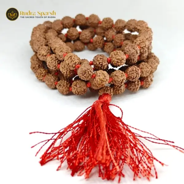 5 mukhi rudraksha mala with 108+1 beads - Image 2