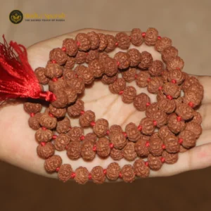 5 mukhi rudraksha mala with 108+1 beads