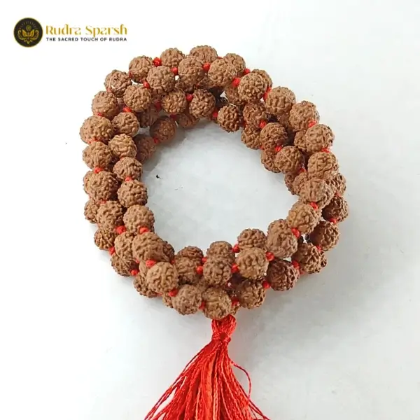 buy 5 mukhi rudraksha mala