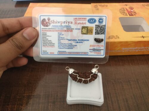 1- Mukhi Rudraksha (Indian)- Medium Size photo review