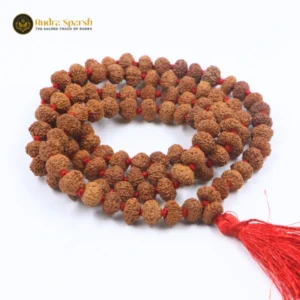 11 Mukhi Rudraksha mala(Indonesian Beads)