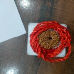12 Mukhi Rudraksha(Nepali) - Medium Size with X-ray Report photo review
