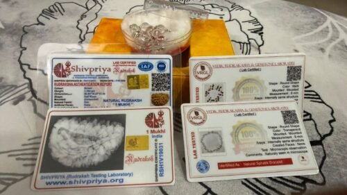 1- Mukhi Rudraksha (Indian)- Small Size photo review