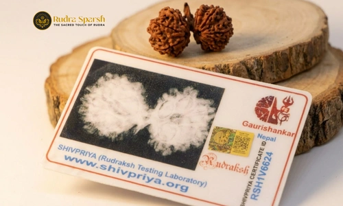 Lab Certified Gauri-Shankar Rudraksha