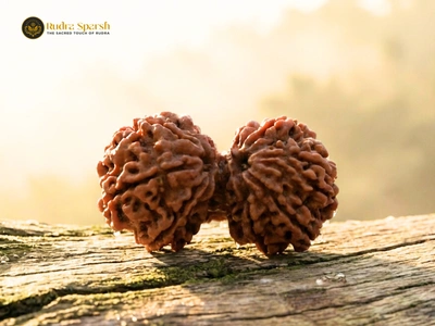 Buy Gauri-Shankar Rudraksha