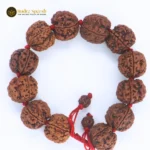 5 Mukhi Rudraksha Bracelet