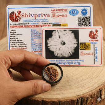 rudraksha with certificate