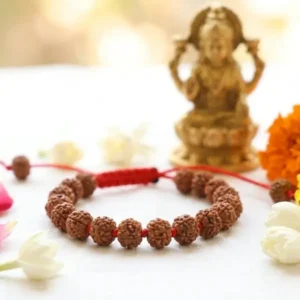 7 Mukhi Rudraksha Bracelet | Original & Energized
