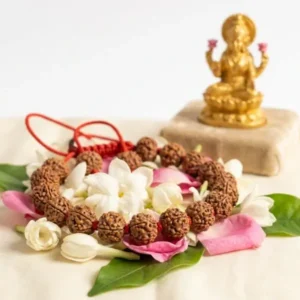 buy 7 mukhi rudraksha bracelet
