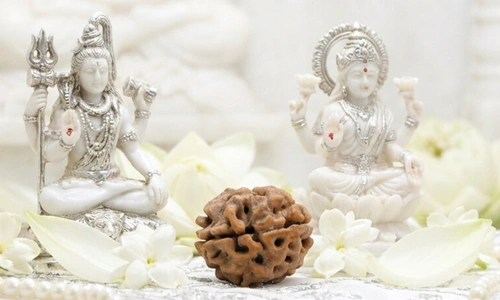 2 Mukhi Rudraksha