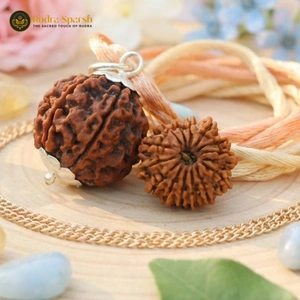 14 Mukhi RUDRAKSHA