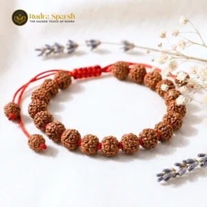7 Mukhi Rudraksha Bracelet (Indonesian) | Original & Energized