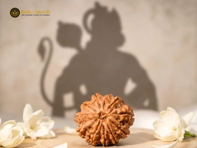 buy 11 Mukhi Rudraksha