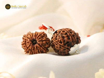 12 Mukhi RUDRAKSHA