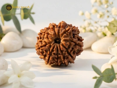 10 Mukhi Rudraksha