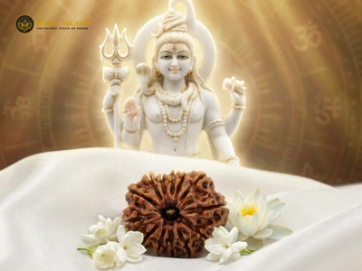 Gauri-Shankar Rudraksha(Nepali)