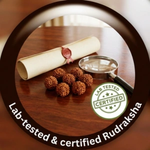 Lab-tested & certified Rudraksha​