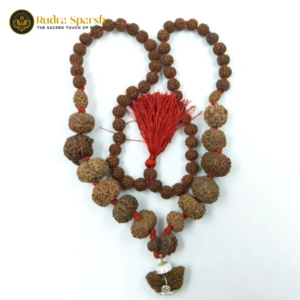Siddh Rudraksha Mala