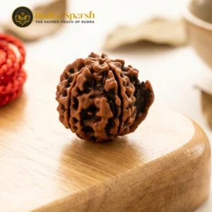 Gansesh Rudraksha