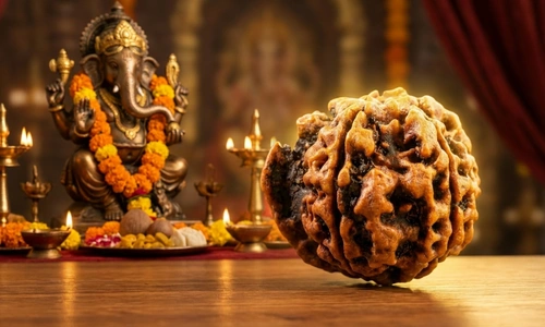 ganesh rudraksha