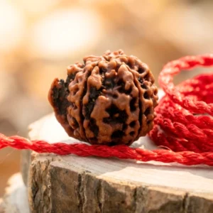 Original Gansesh Rudraksha