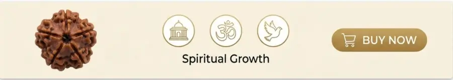 5 mukhi rudraksha benefits