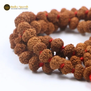 Mala's