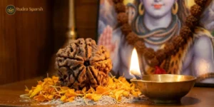 5 mukhi rudraksha benefits