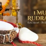 1 mukhi rudraksha benefits