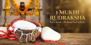 1 mukhi rudraksha benefits