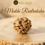 2 mukhi rudraksha benefits