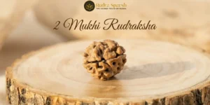 2 mukhi rudraksha benefits