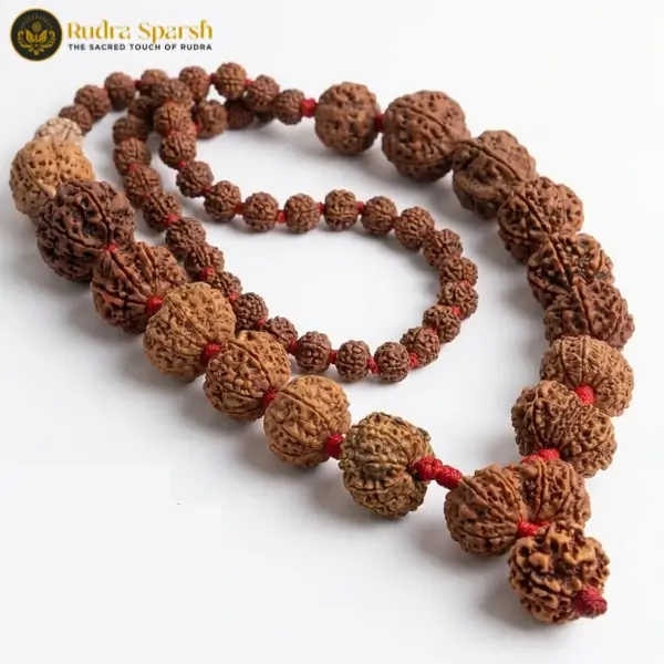 1-14 Mukhi Siddh Rudraksha Mala - Nepali Beads