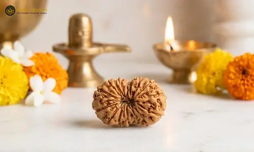 buy 15 mukhi rudraksha