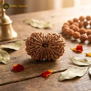 15 mukhi nepali rudraksha