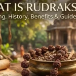 original rudraksha