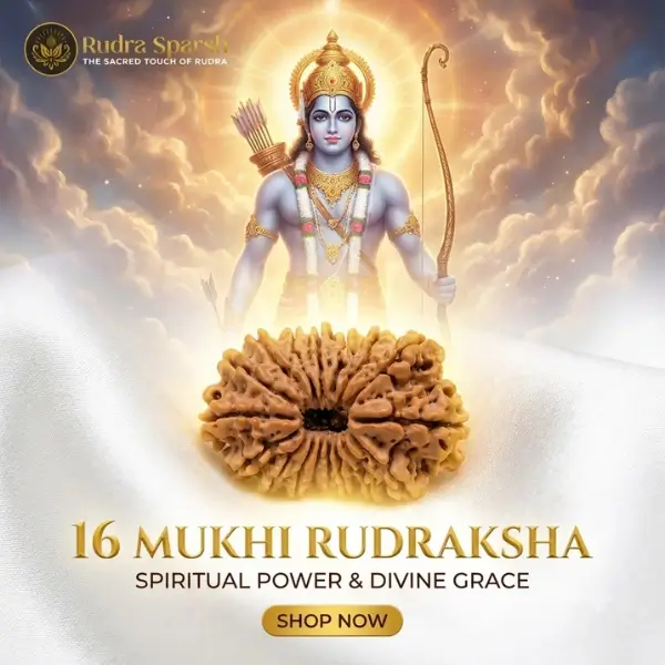 16 mukhi rudraksha benefits