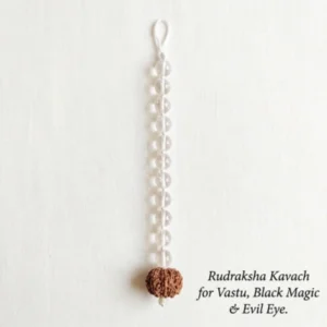Buy Rudraksha Kavach for Vastu, Black Magic & Evil Eye