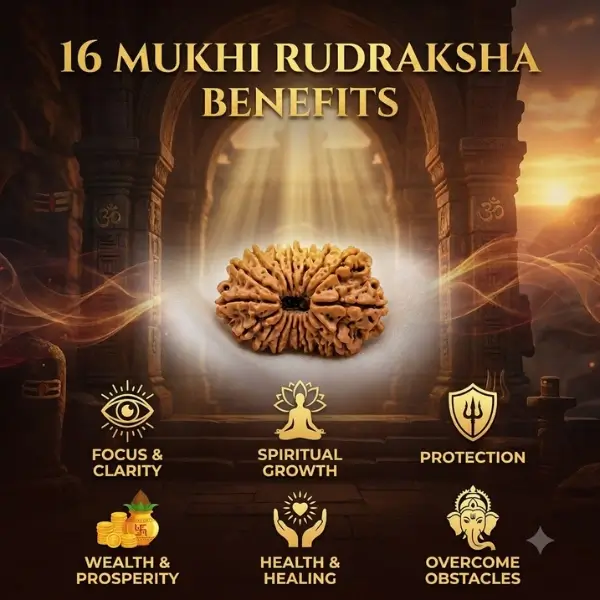 16 mukhi rudraksha benefits