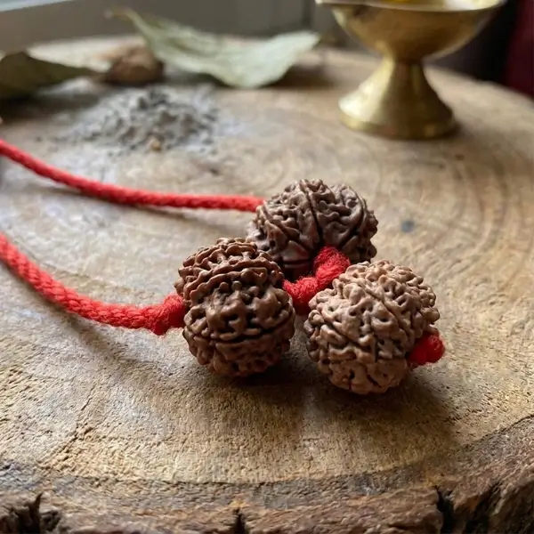 Kaal Sarp Dosh Kawach - Image 2
