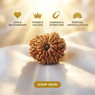 13 mukhi rudraksha benefits
